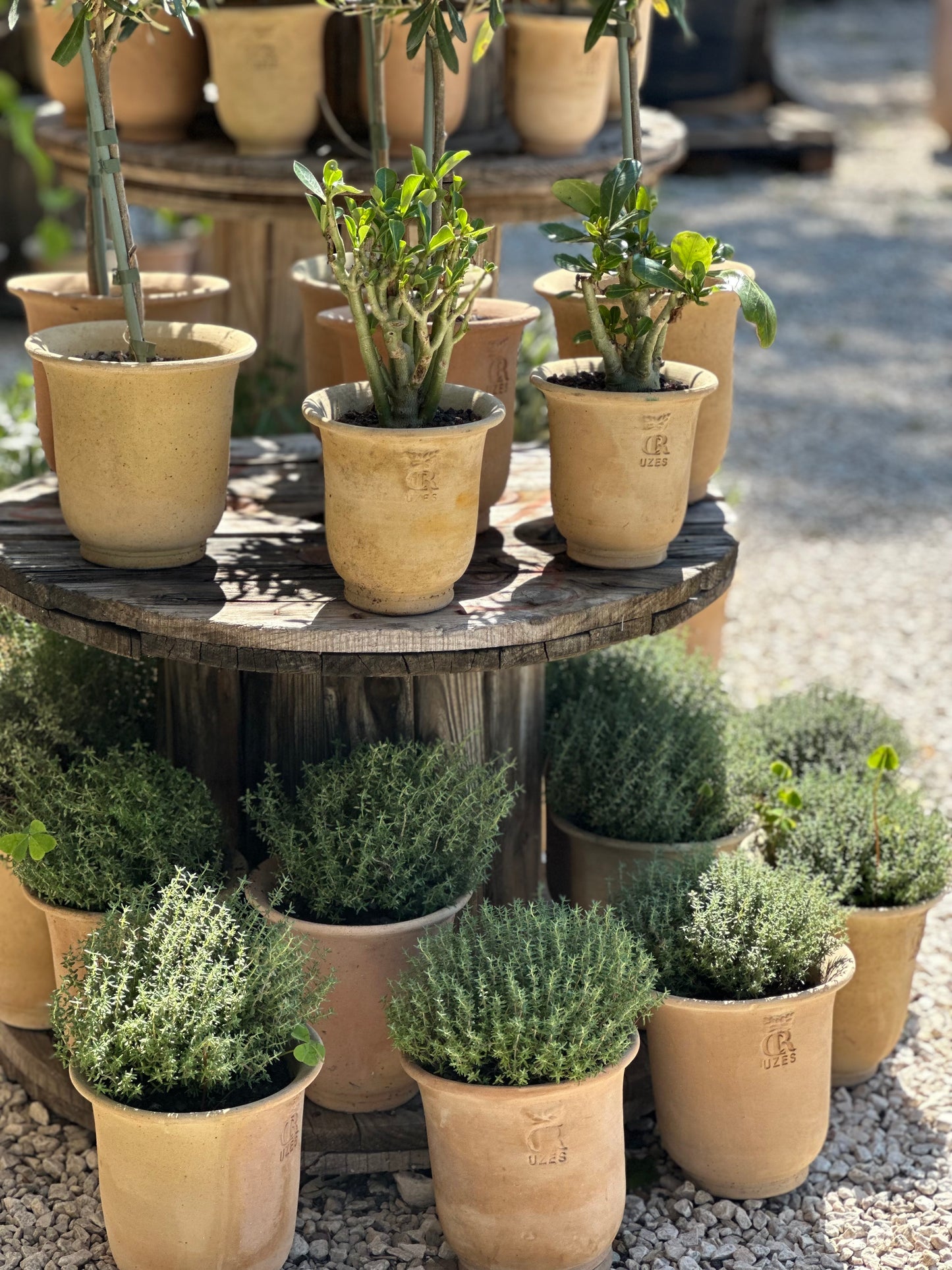 French Uzes Terracotta Pots - Medium