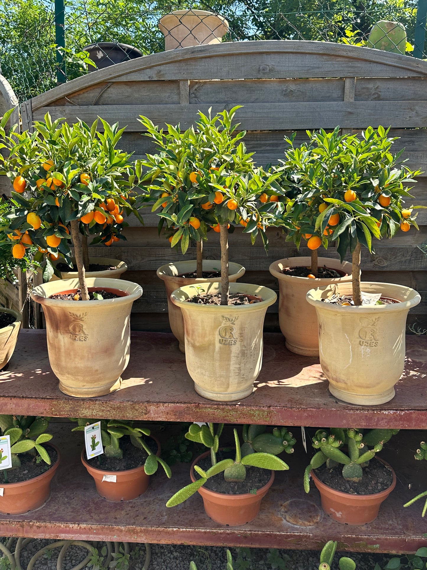 French Uzes Terracotta Pot - Large