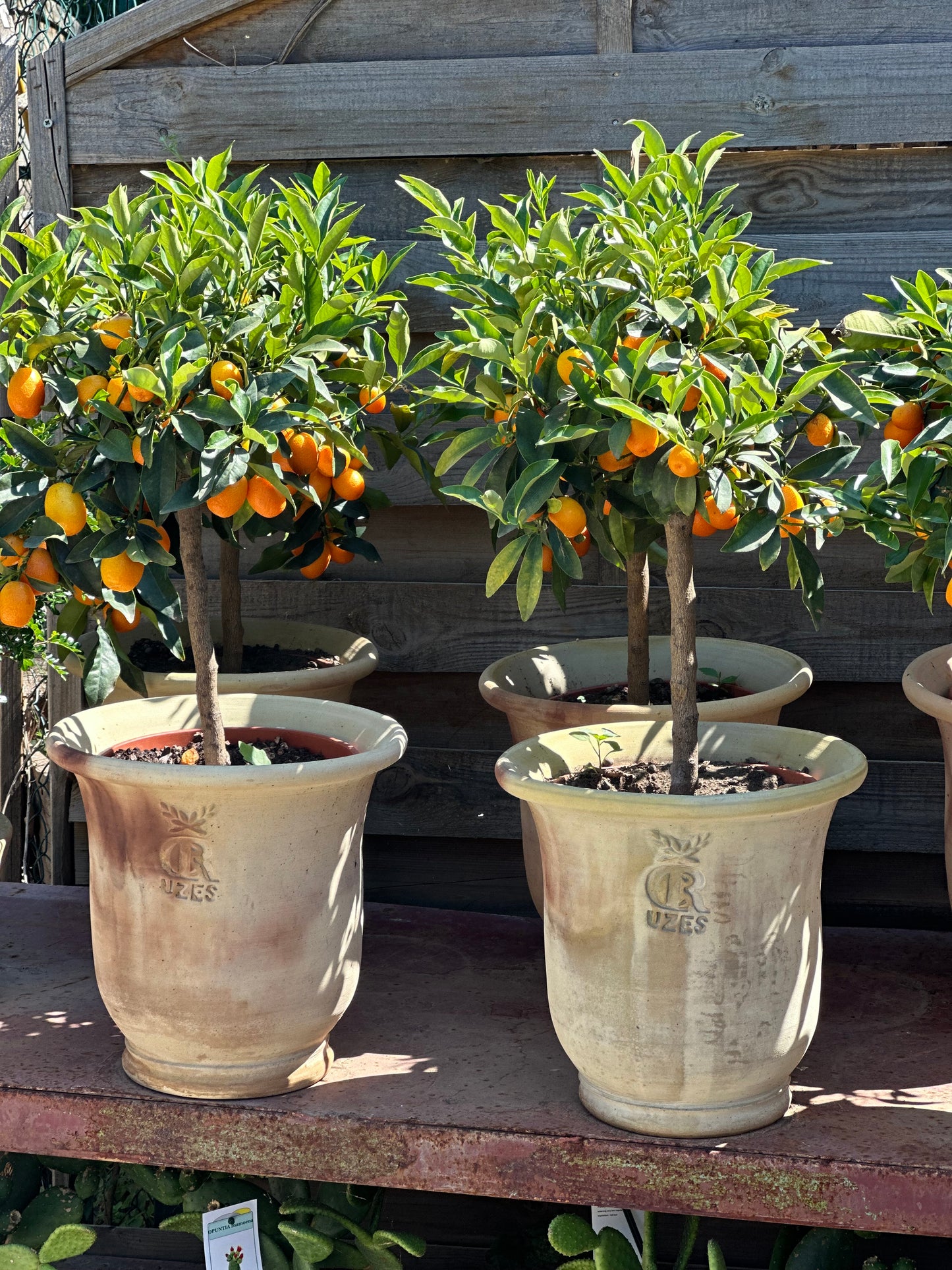 French Uzes Terracotta Pot - Large