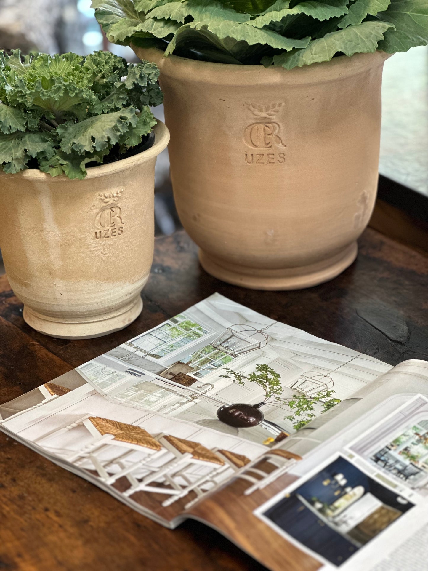 French Uzes Terracotta Pot - Large