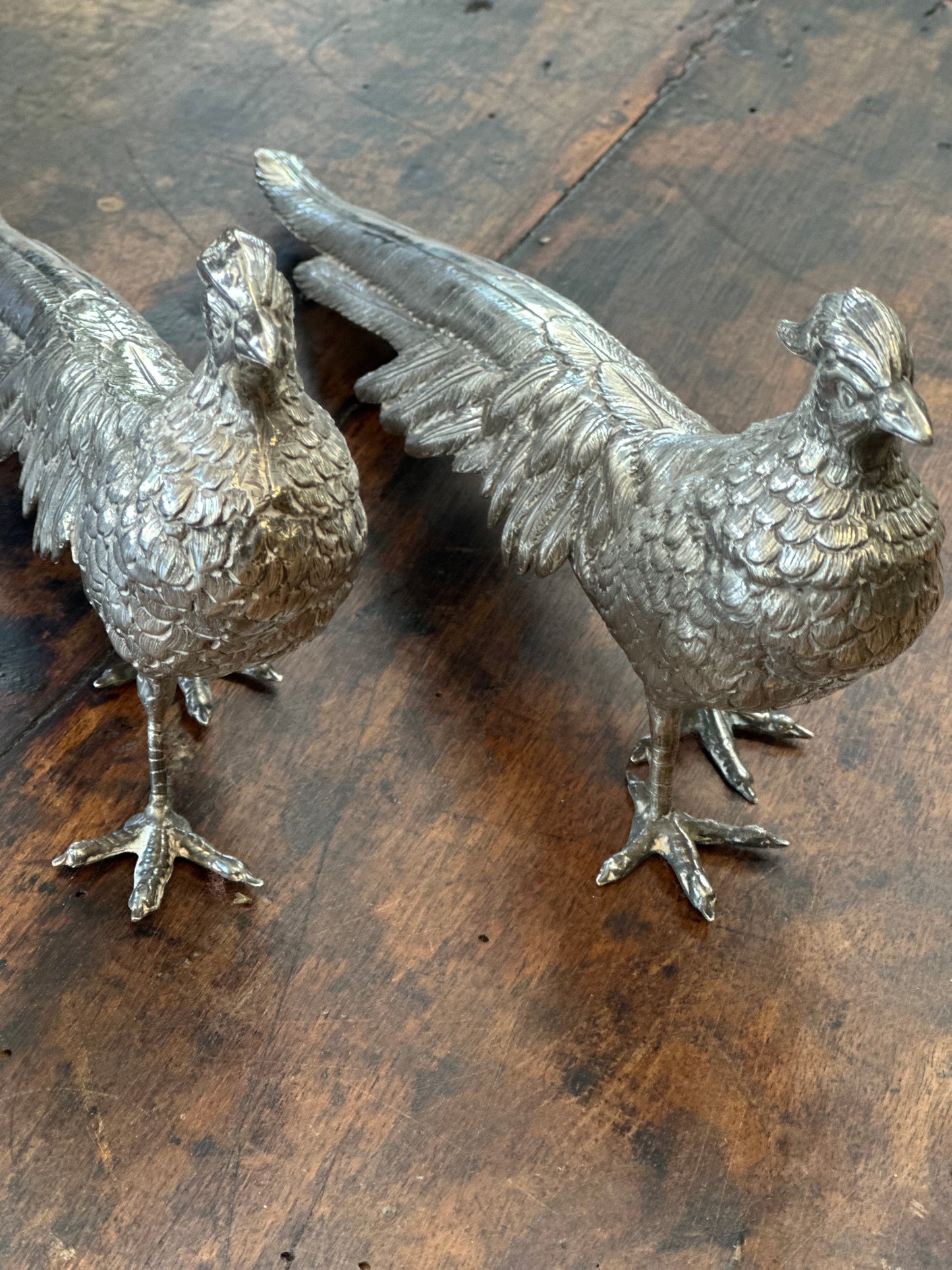 Spanish Silver Pheasant - Small