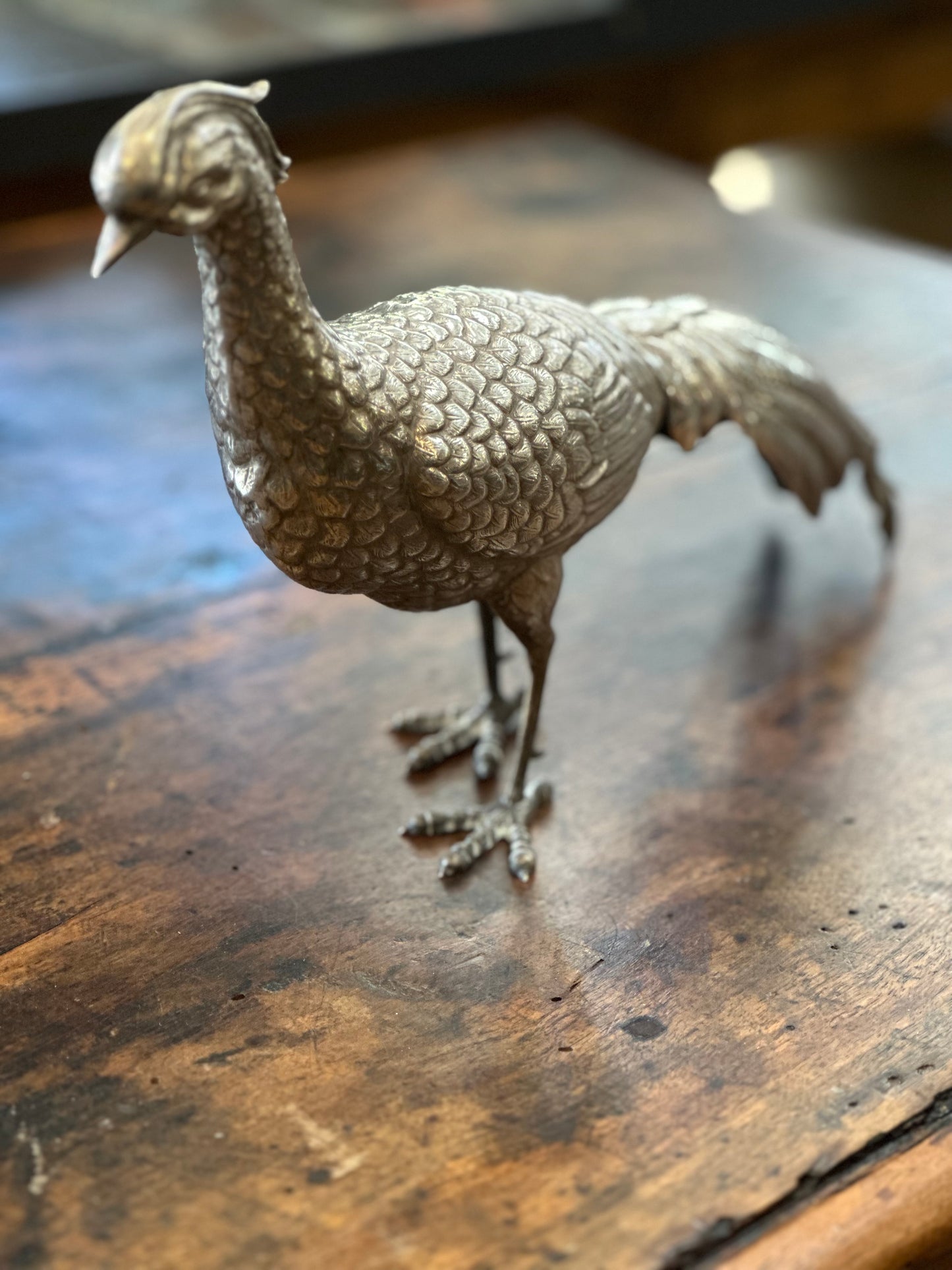 Spanish Silver Pheasant - Large