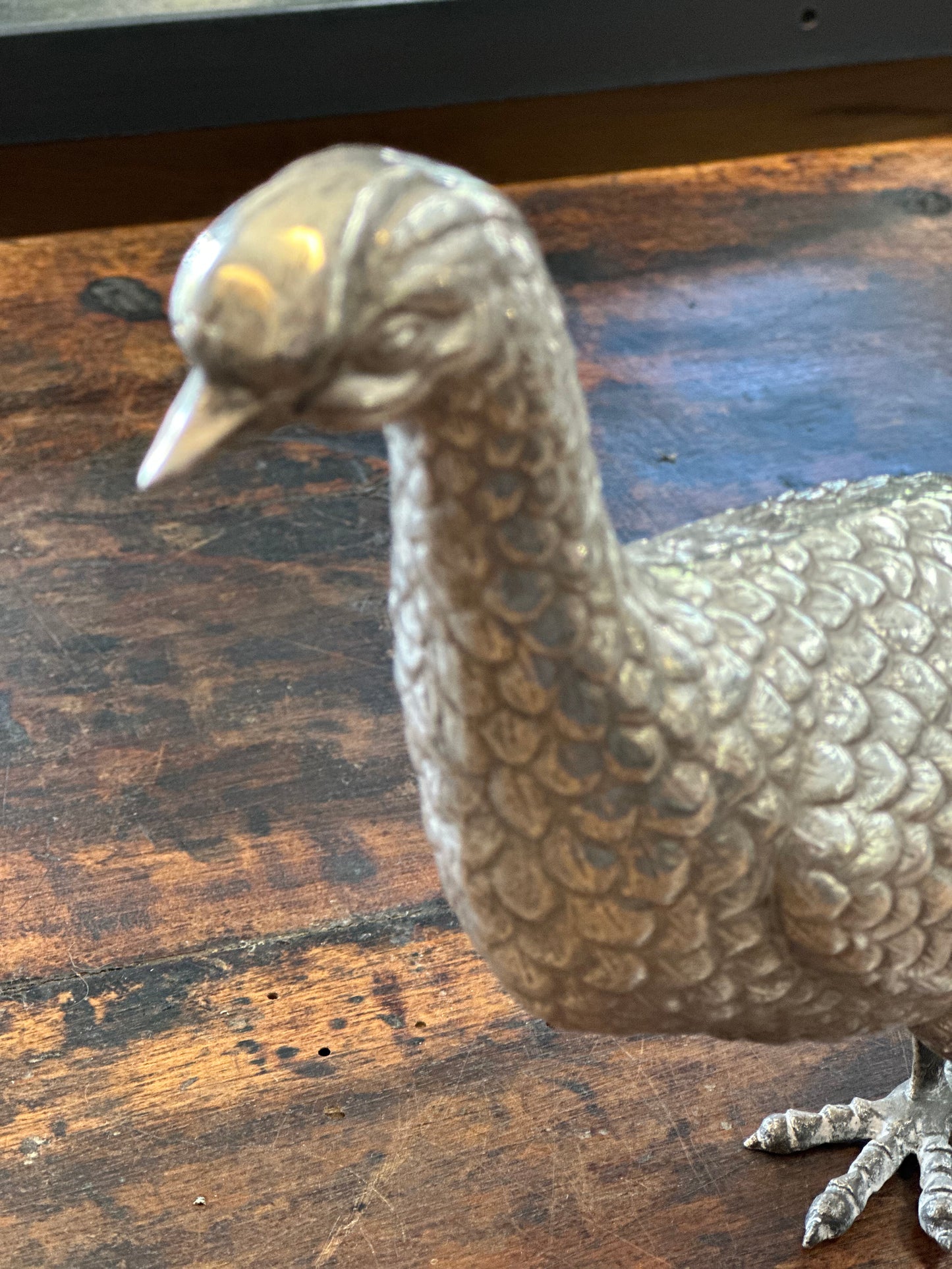 Spanish Silver Pheasant - Large