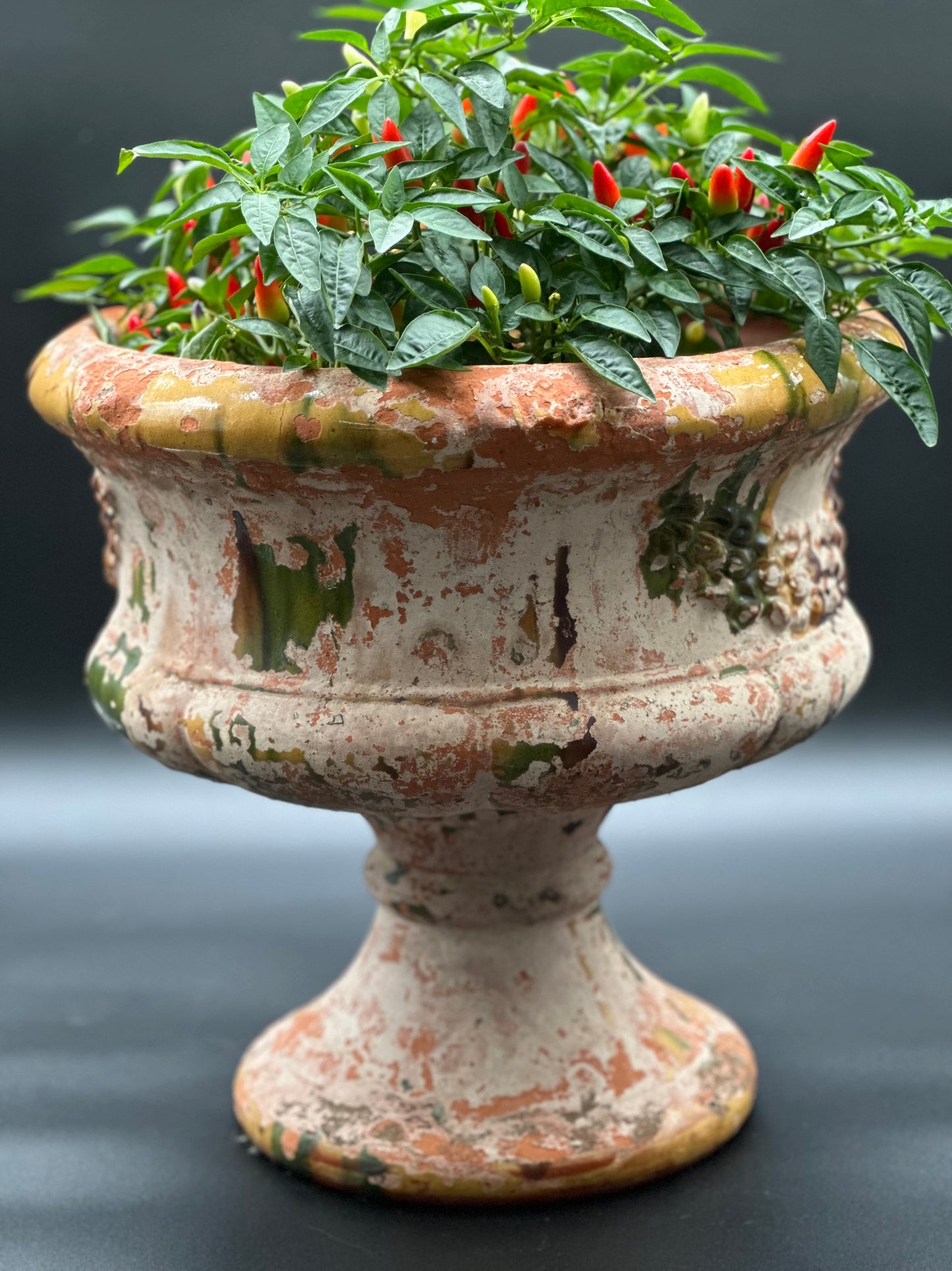 French Terra Cotta Planter c1780