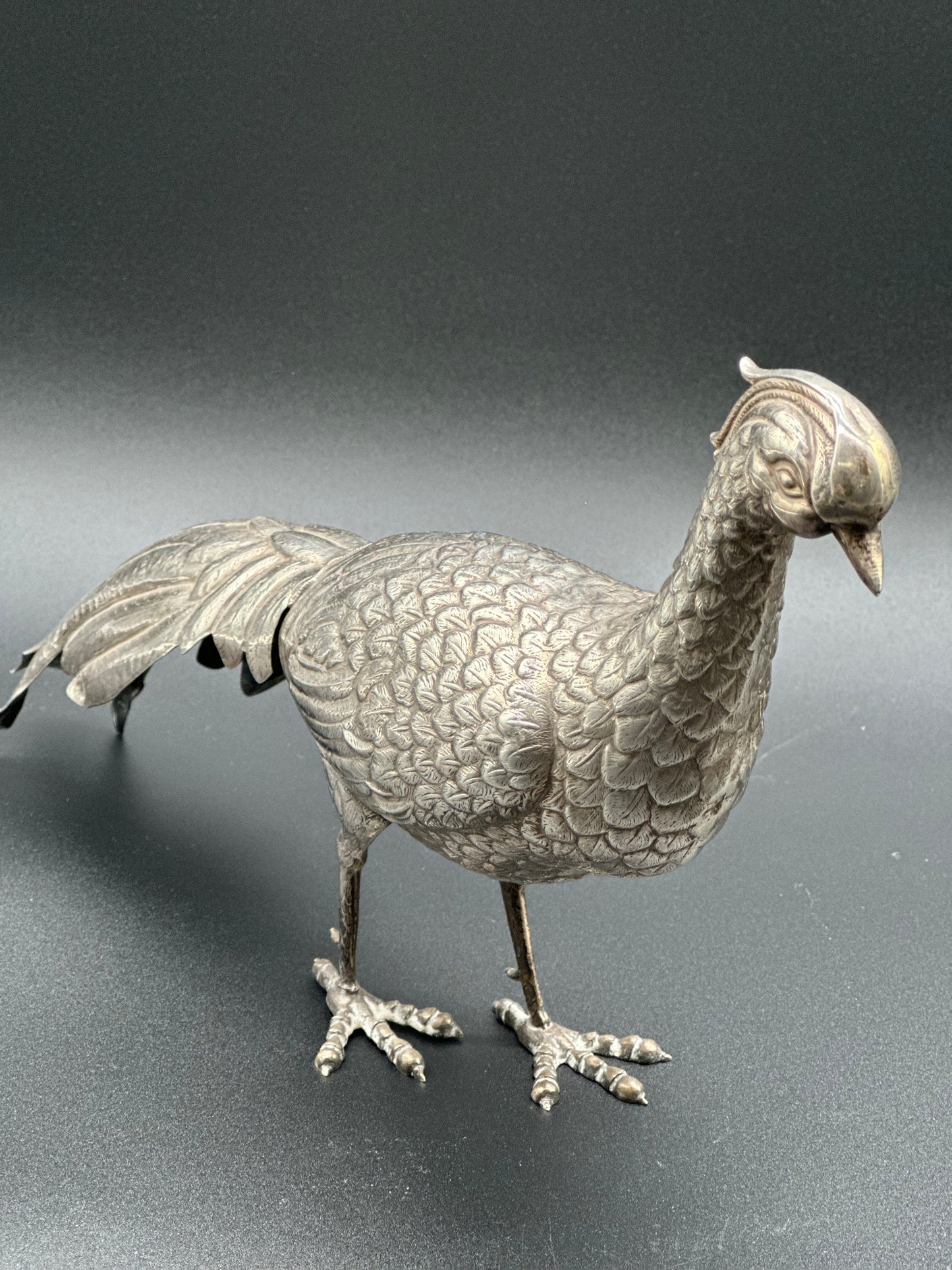 Spanish Silver Pheasant - Large