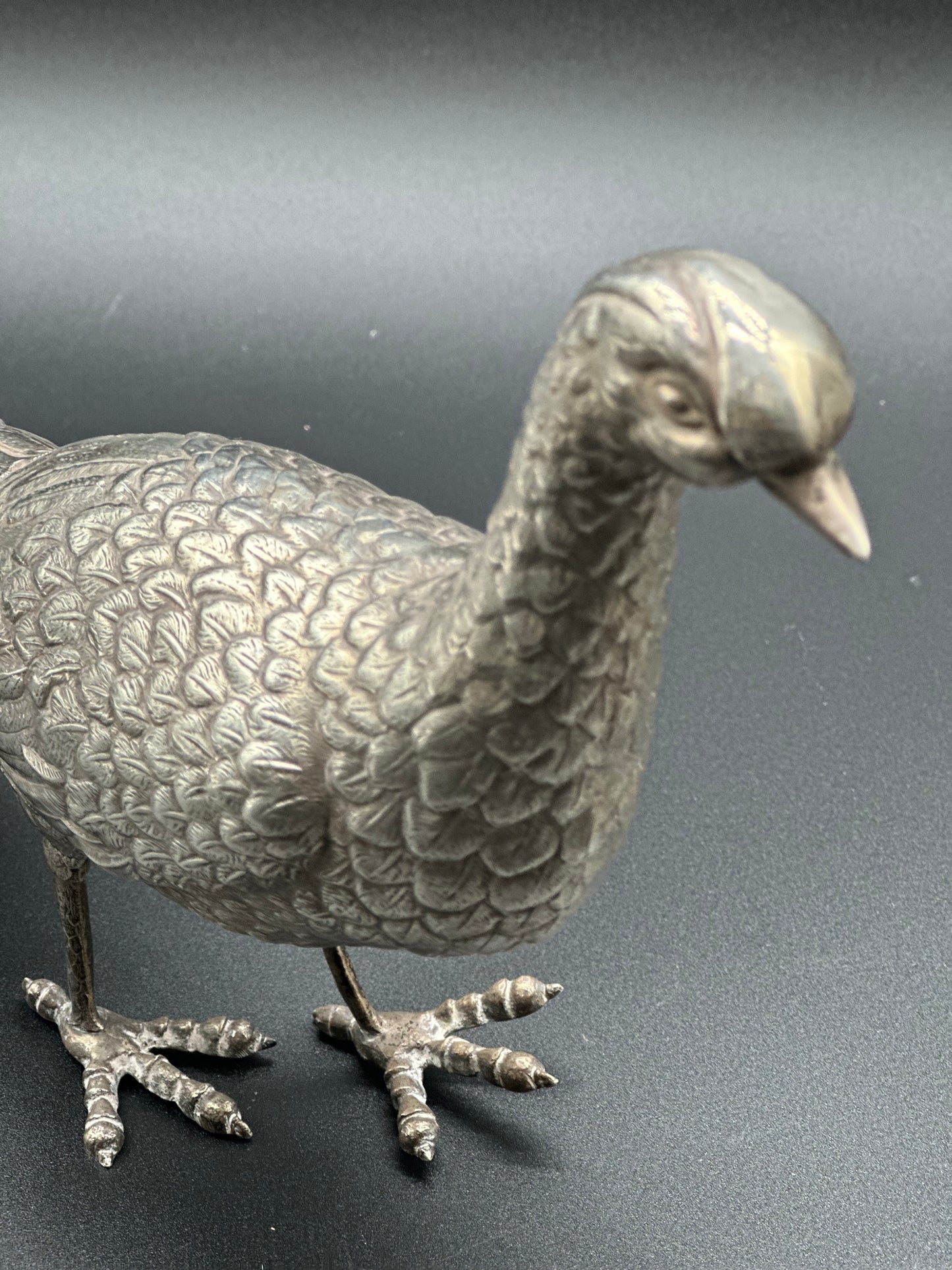 Spanish Silver Pheasant - Large