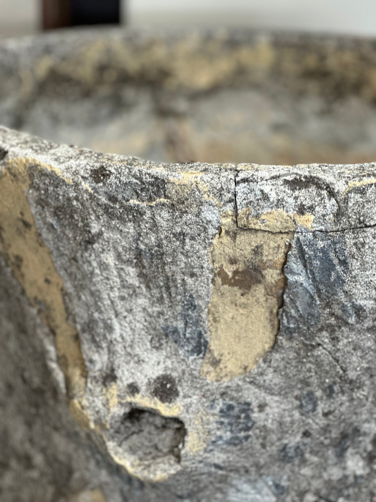 Faux Bois Pot - France