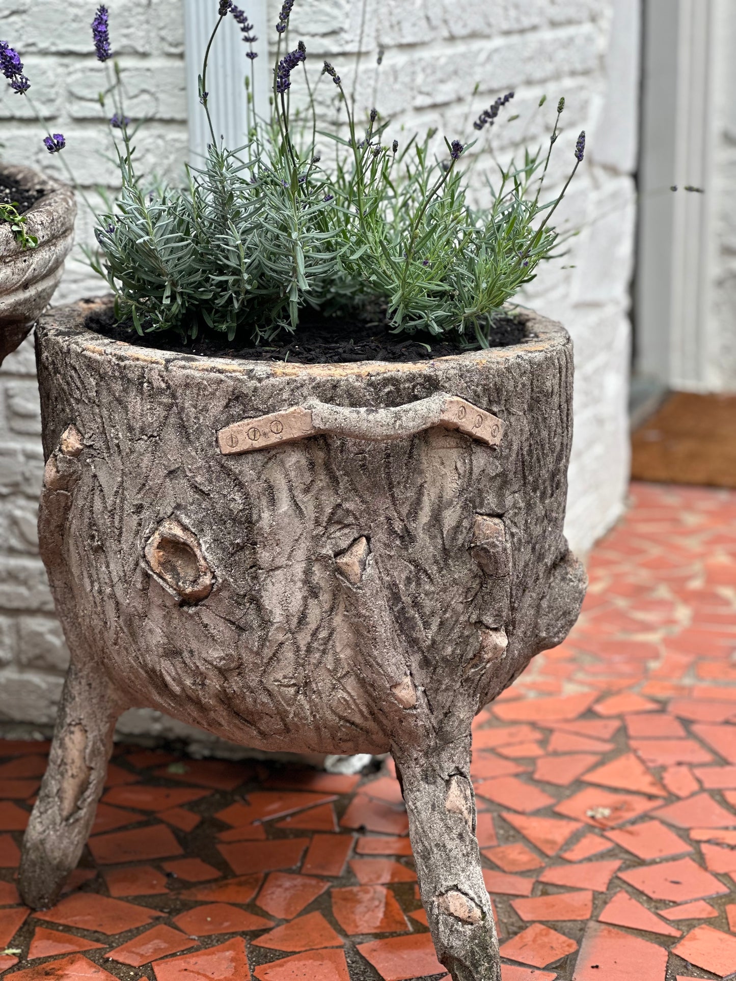 Faux Bois Pot - France