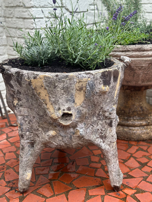 Faux Bois Pot - France