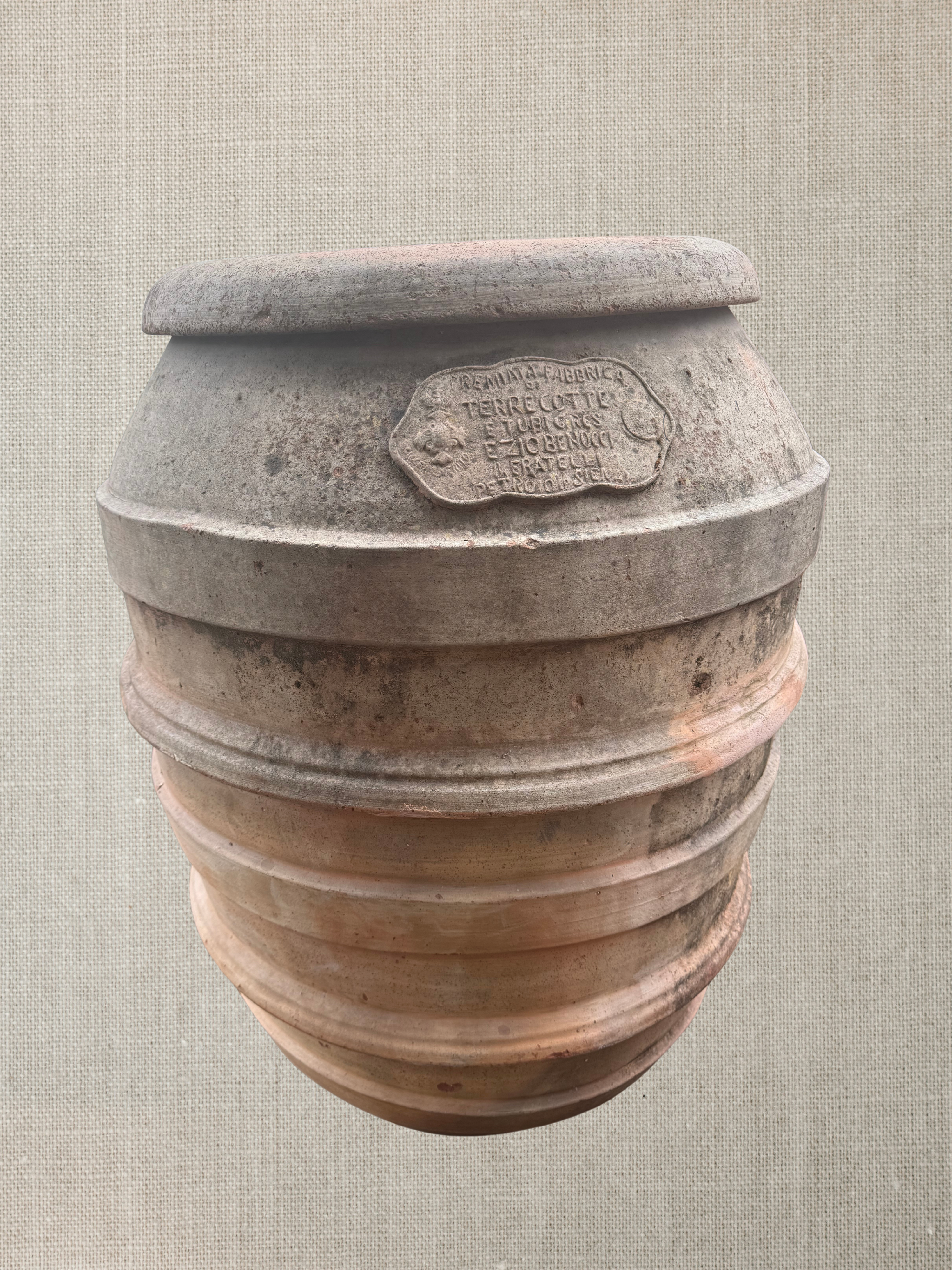 Firenze Olive Oil Pot 1860s