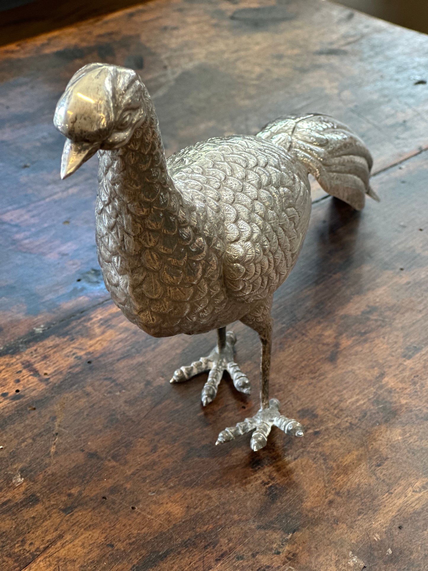Spanish Silver Pheasant - Large