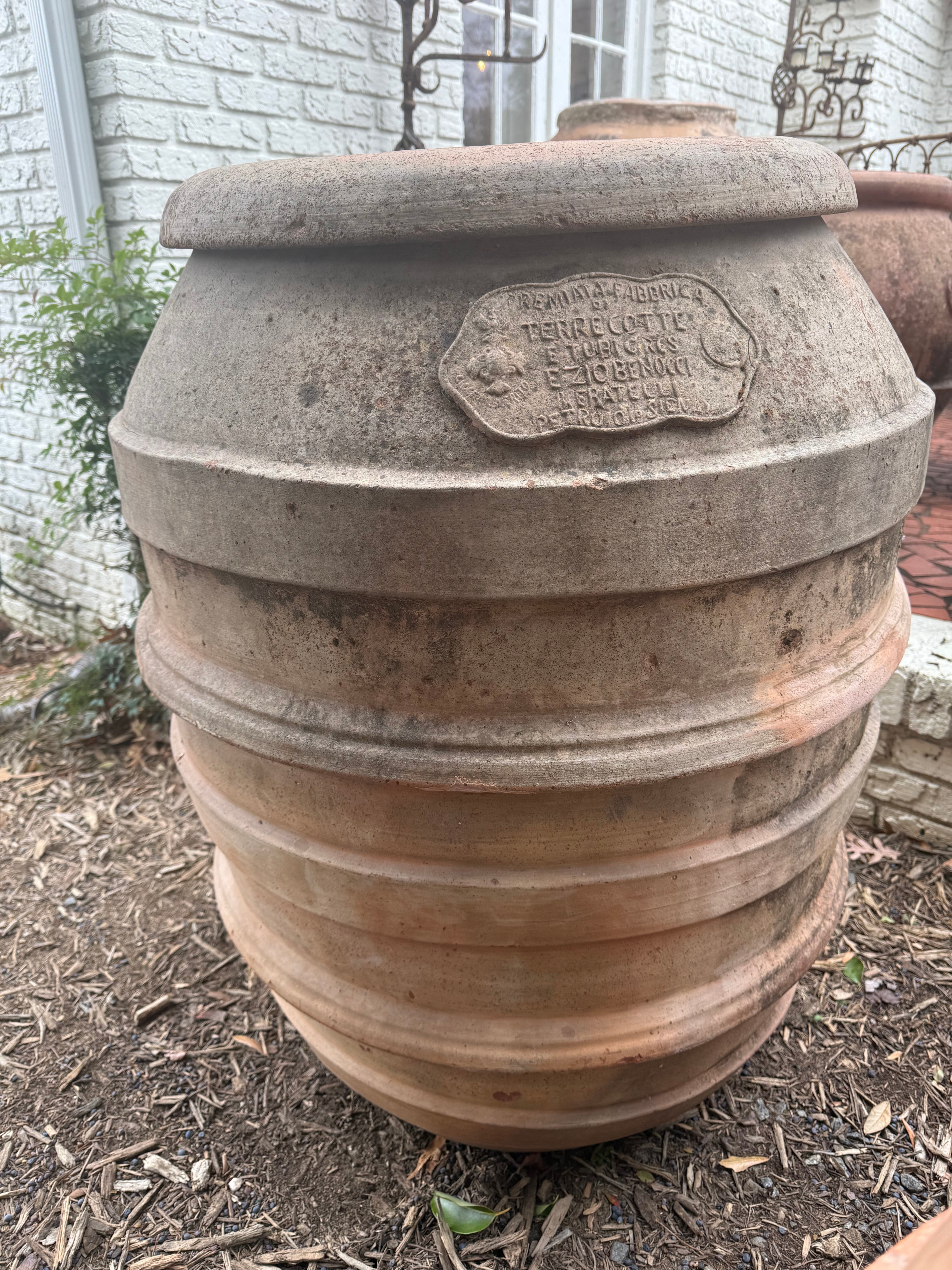 Firenze Olive Oil Pot 1860s