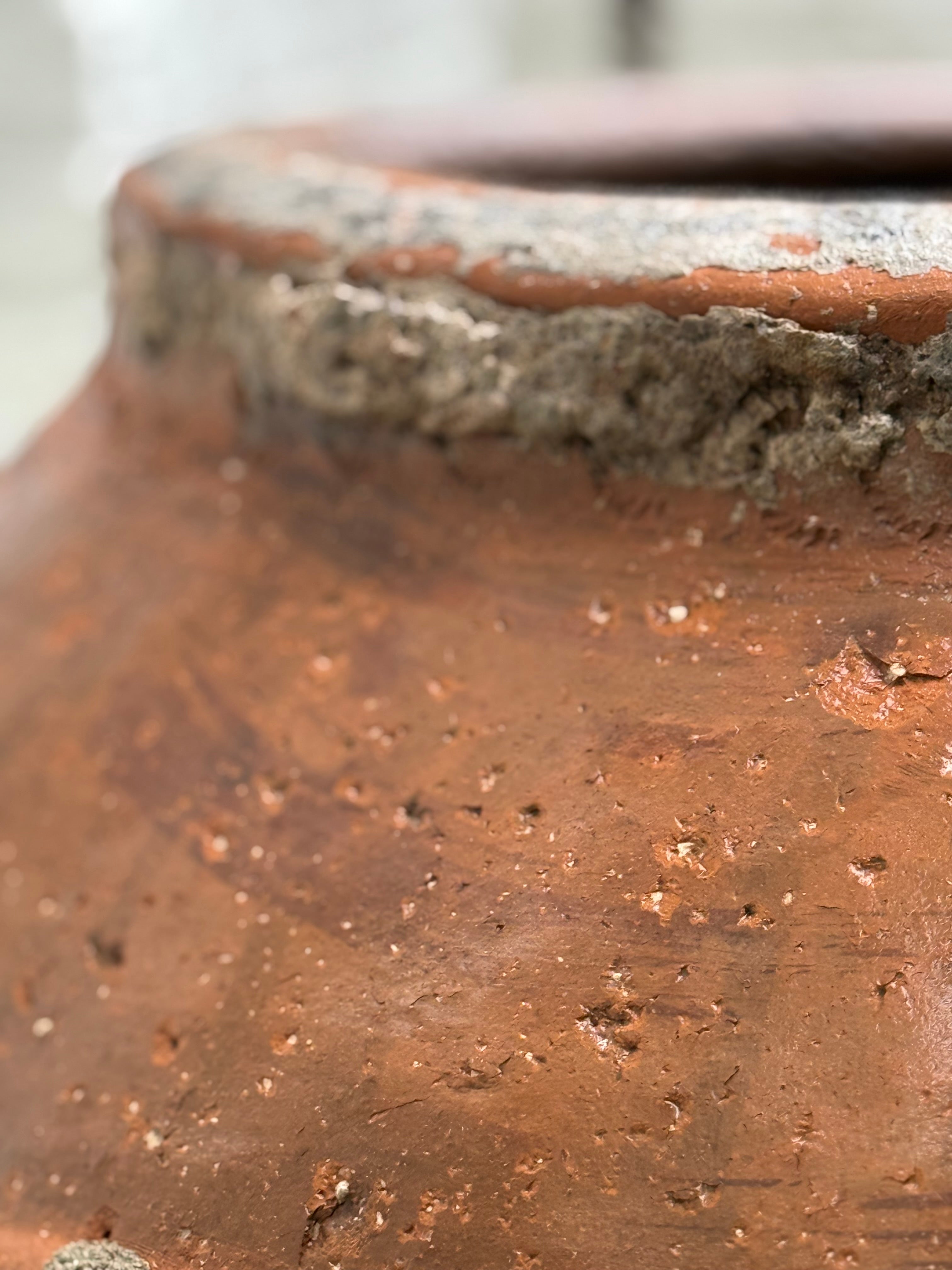 Firenze Olive Oil Pot - 19th Century