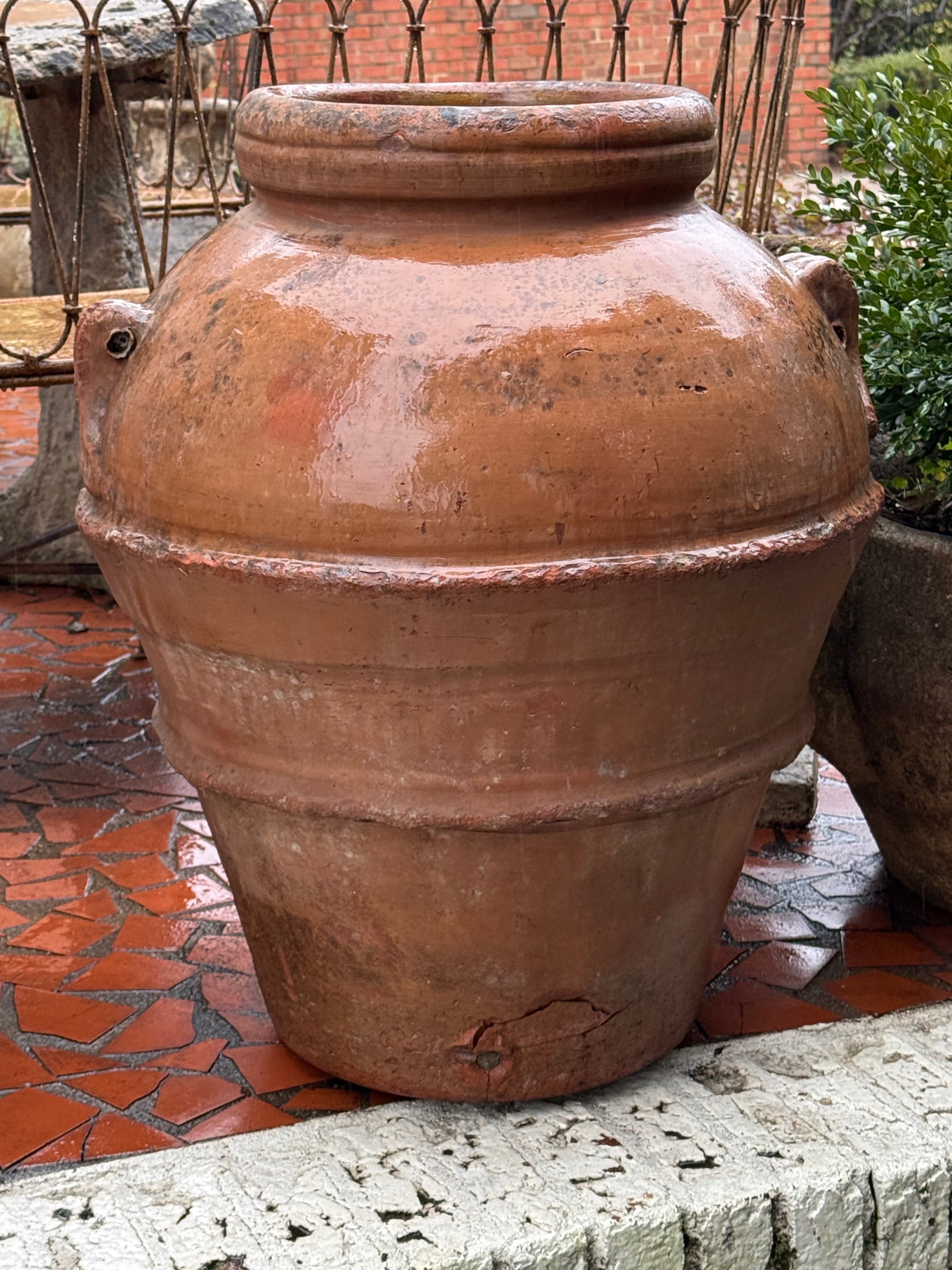 Firenze Olive Pot - 19th Century