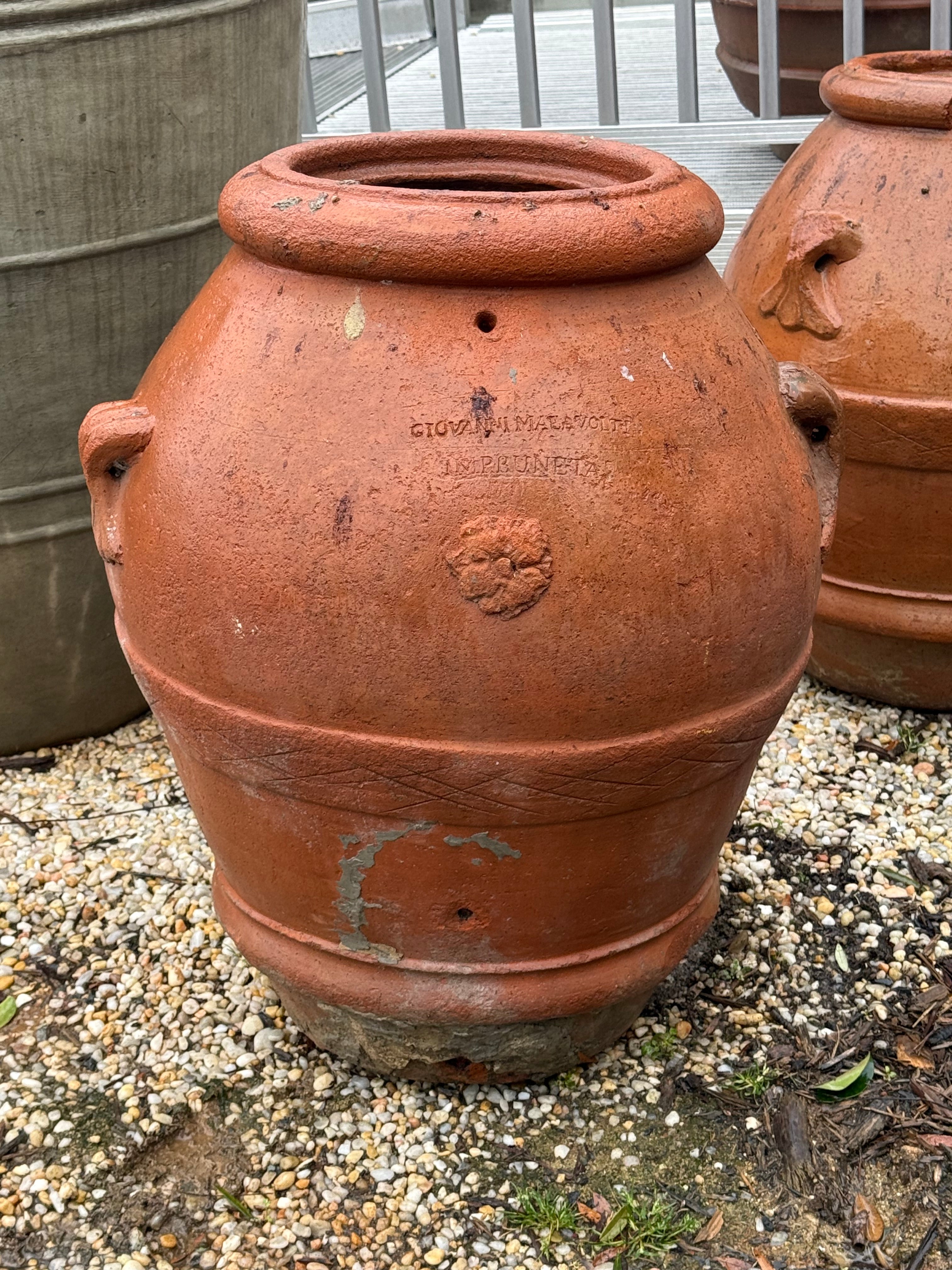 Firenze Olive Oil Pot - 19th Century