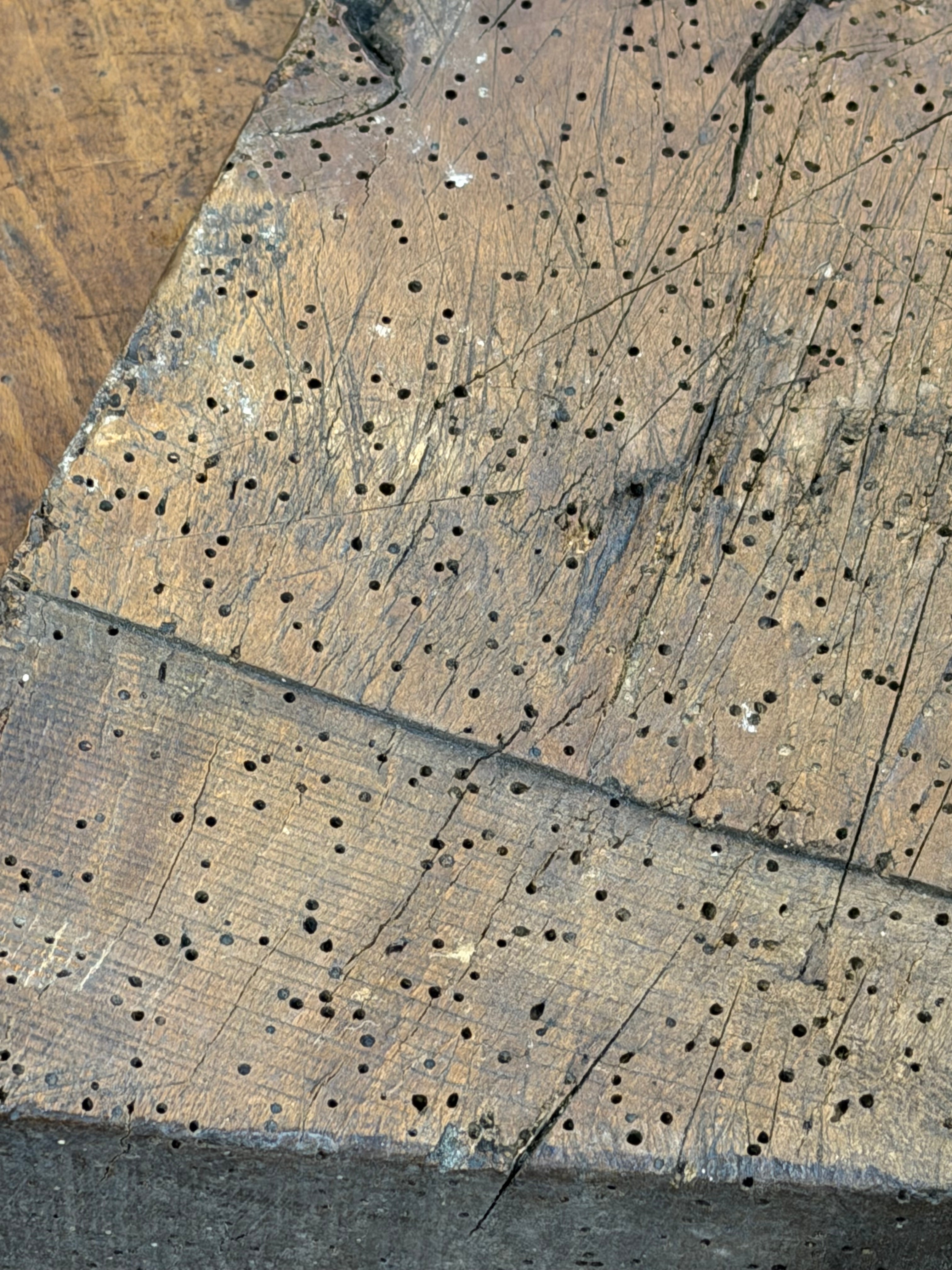 Cutting Board - France