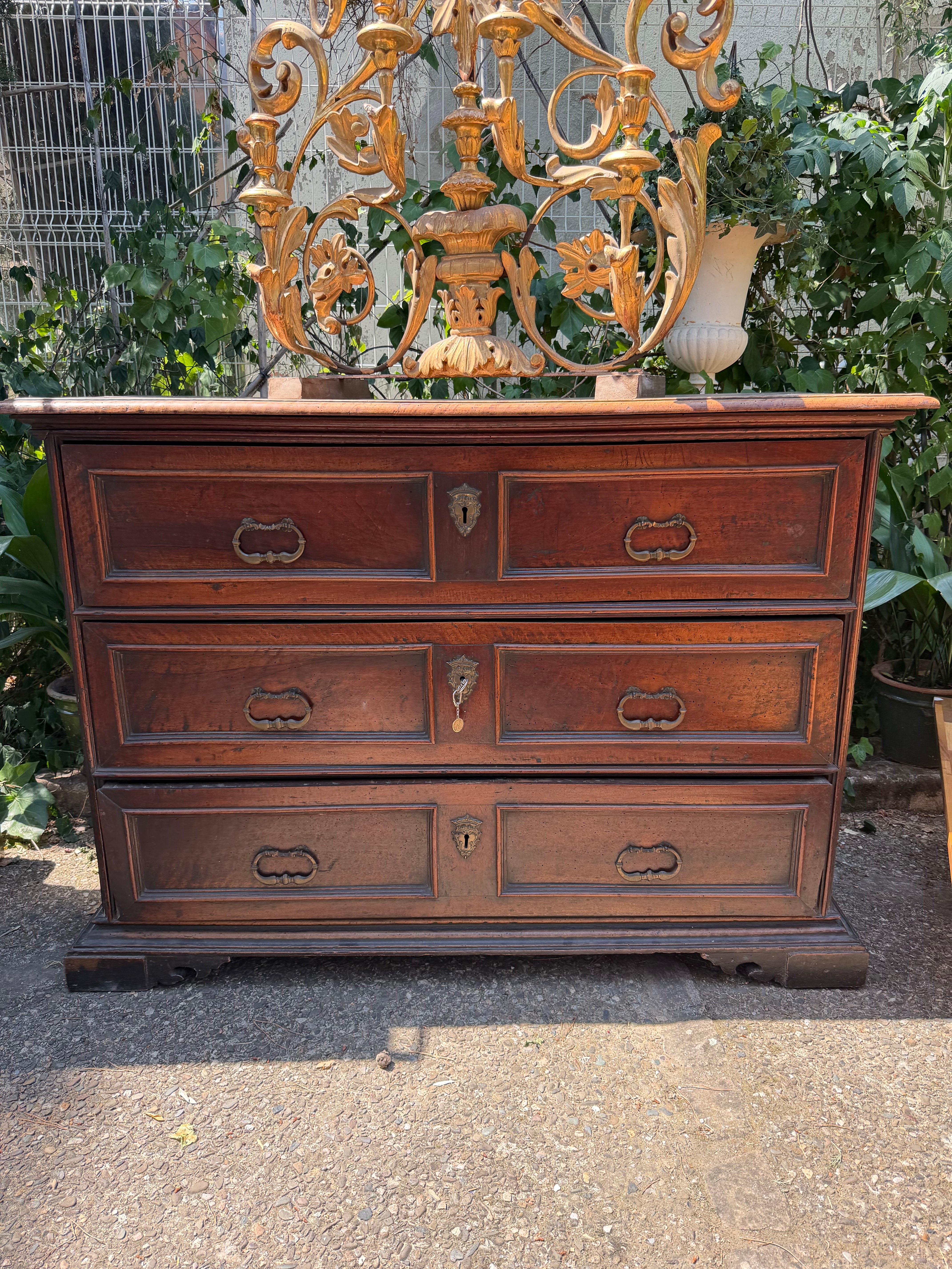 Walnut Chest Piemonte c1780
